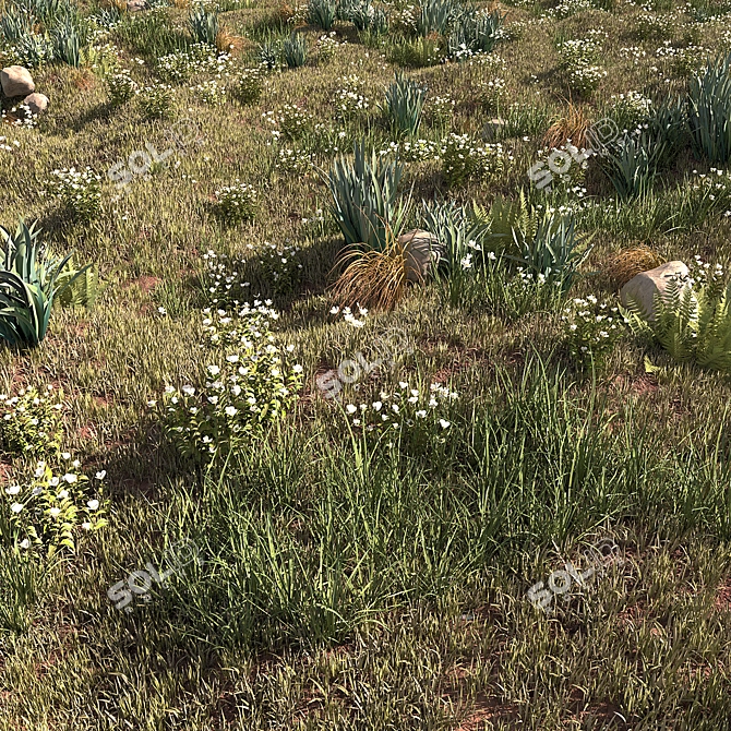 ChaosScatter Field Herbs Collection 3D model image 8