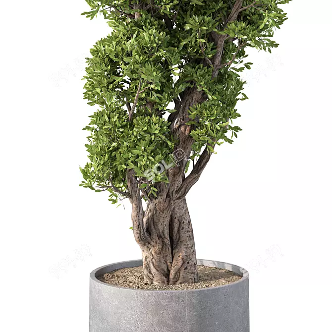 Modern Greenery for Interior Decor 3D model image 3