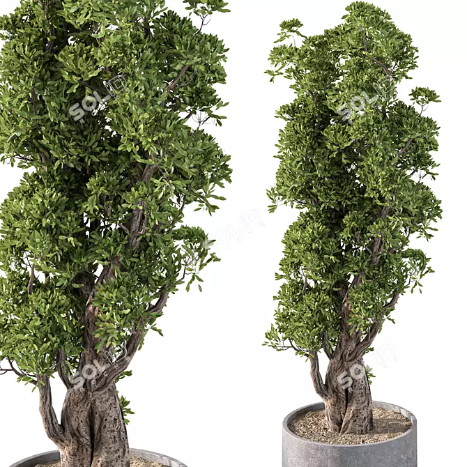 Modern Greenery for Interior Decor 3D model image 4