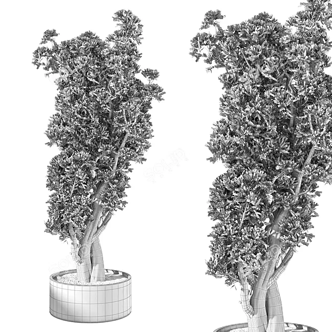 Modern Greenery for Interior Decor 3D model image 5