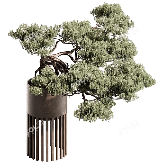 Mini Bonsai Potted Plant 3D model image 2