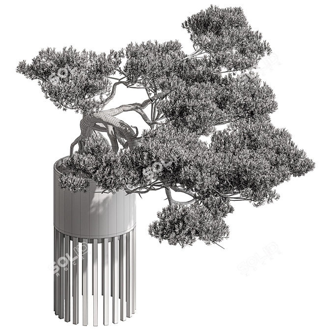 Mini Bonsai Potted Plant 3D model image 5