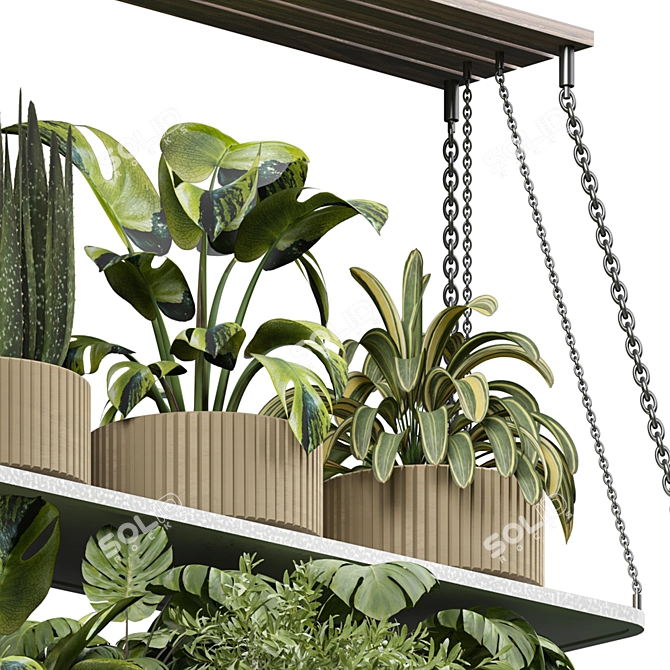 Modern Indoor Plant 3D 2015 3D model image 2