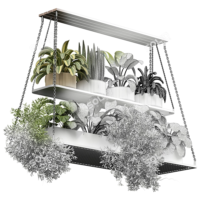 Modern Indoor Plant 3D 2015 3D model image 5