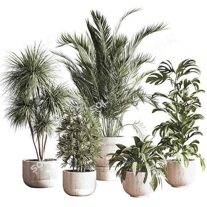 Elegant Indoor Plant Decor Set 3D model image 1