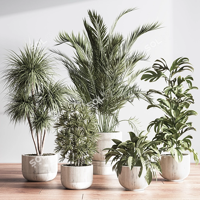 Elegant Indoor Plant Decor Set 3D model image 2