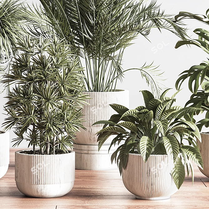 Elegant Indoor Plant Decor Set 3D model image 6