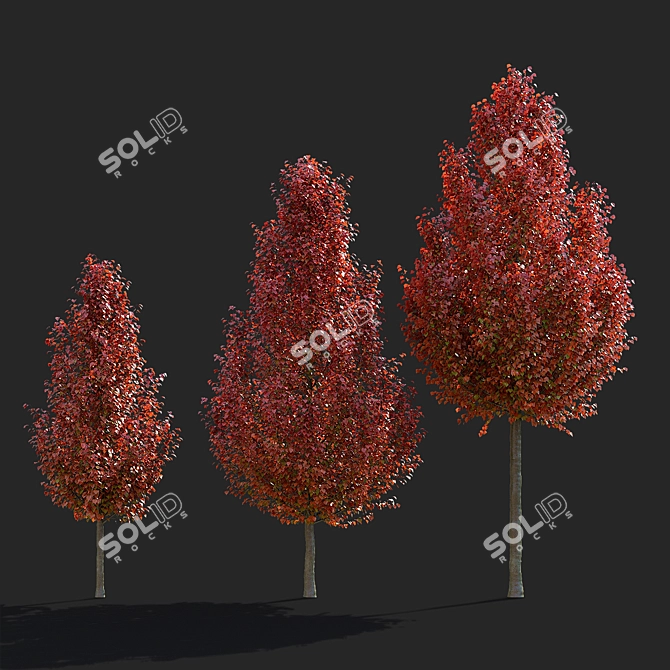 Chanticlee Autumn Pear Tree Collection 3D model image 4