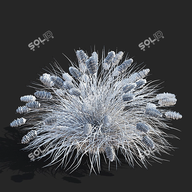 Compact Decorative Ornamental Grasses 3D model image 7