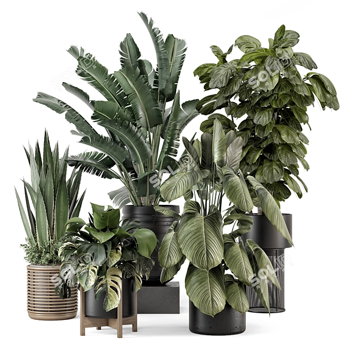 Modern Indoor Plants Set 1740 3D model image 1