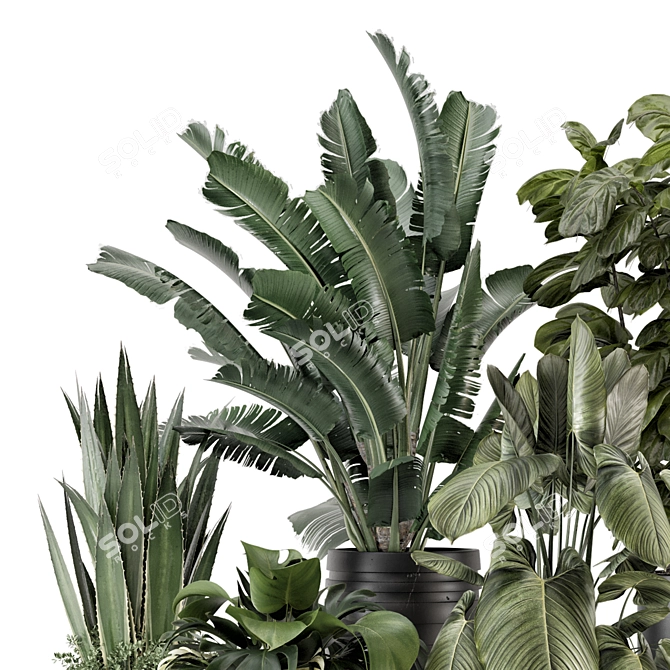 Modern Indoor Plants Set 1740 3D model image 2