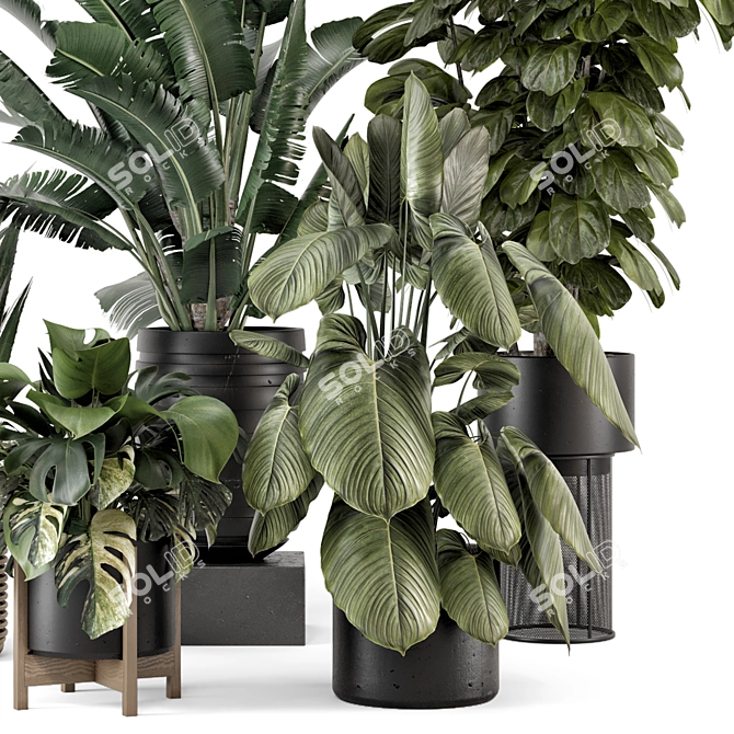 Modern Indoor Plants Set 1740 3D model image 3