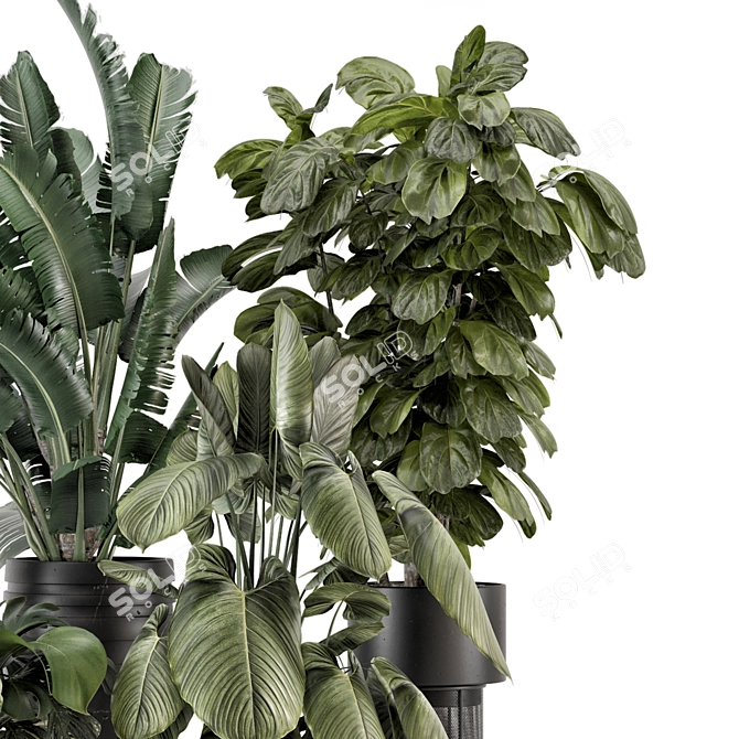 Modern Indoor Plants Set 1740 3D model image 4