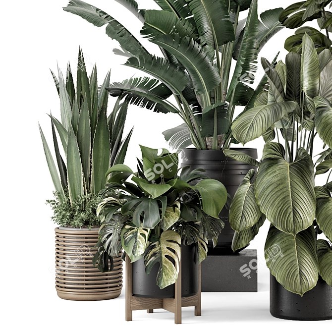 Modern Indoor Plants Set 1740 3D model image 5