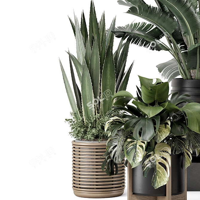 Modern Indoor Plants Set 1740 3D model image 6