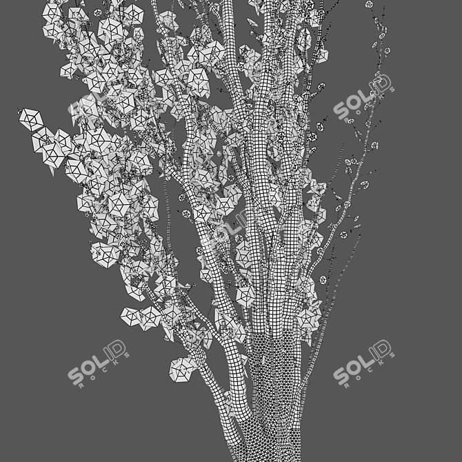 Prunus Amanogawa Flagpole Cherry 3D model image 6