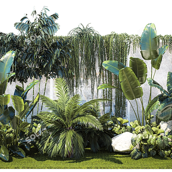 Tropical Oasis Plant Collection 3D model image 3