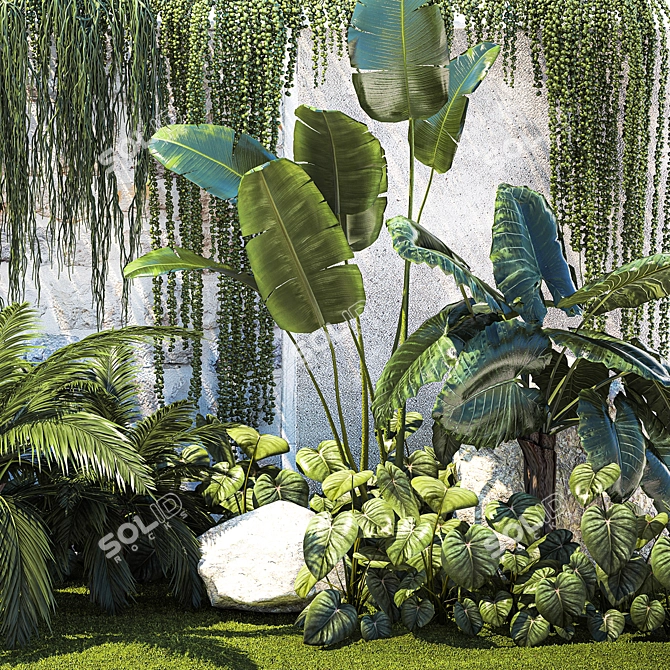 Tropical Oasis Plant Collection 3D model image 4