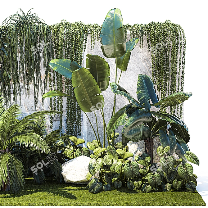 Tropical Oasis Plant Collection 3D model image 6