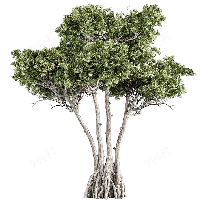 Forest Charm Tree Set 238 3D model image 1