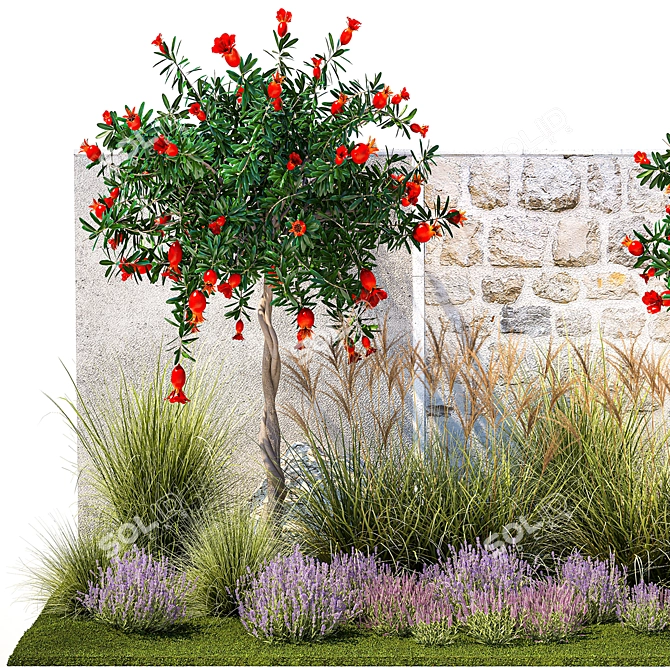 Botanical Oasis Collection: Decorative Plants & Trees 3D model image 2