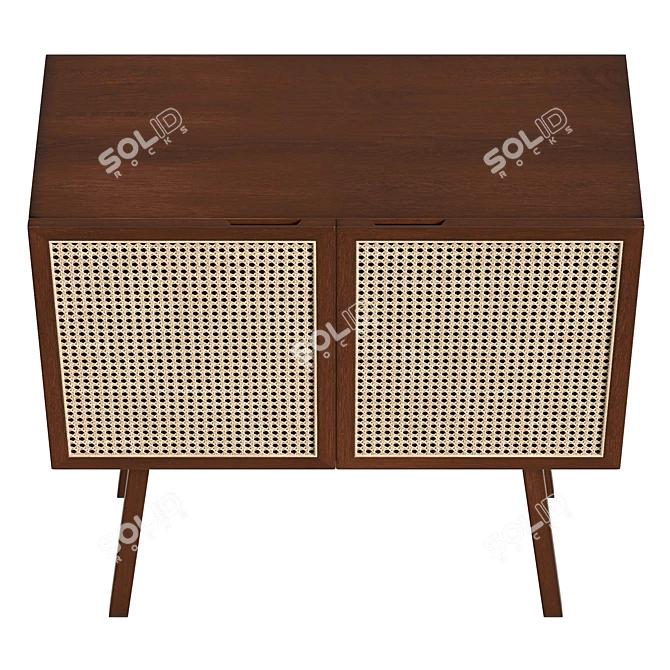 Rattan Door Cabinet, Real-Size Model 3D model image 3