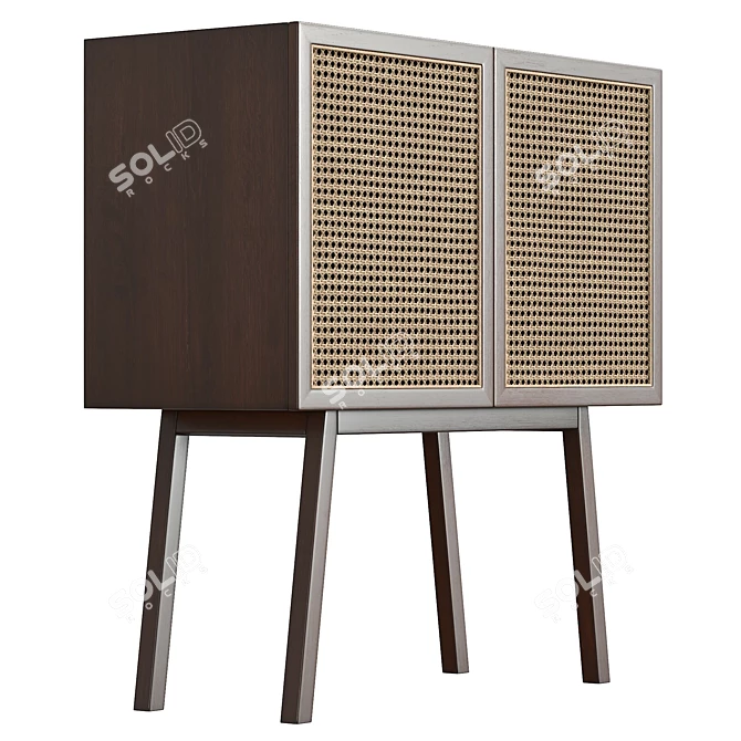 Rattan Door Cabinet, Real-Size Model 3D model image 4