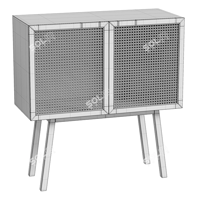 Rattan Door Cabinet, Real-Size Model 3D model image 6