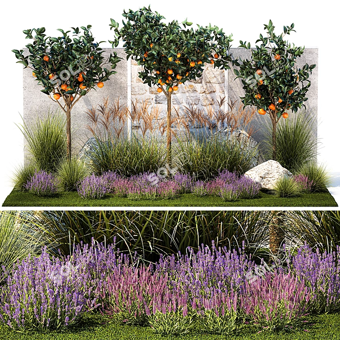 Citrus Collection with Lavender & Ornamental Grasses 3D model image 1