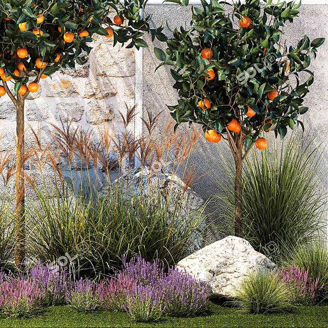 Citrus Collection with Lavender & Ornamental Grasses 3D model image 4