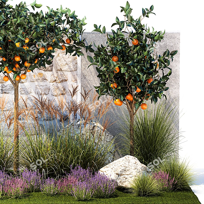 Citrus Collection with Lavender & Ornamental Grasses 3D model image 6