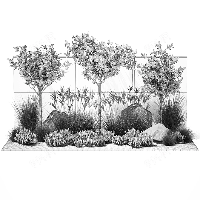 Citrus Collection with Lavender & Ornamental Grasses 3D model image 7