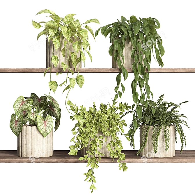 Modern Style Plant Shelf Display 3D model image 1