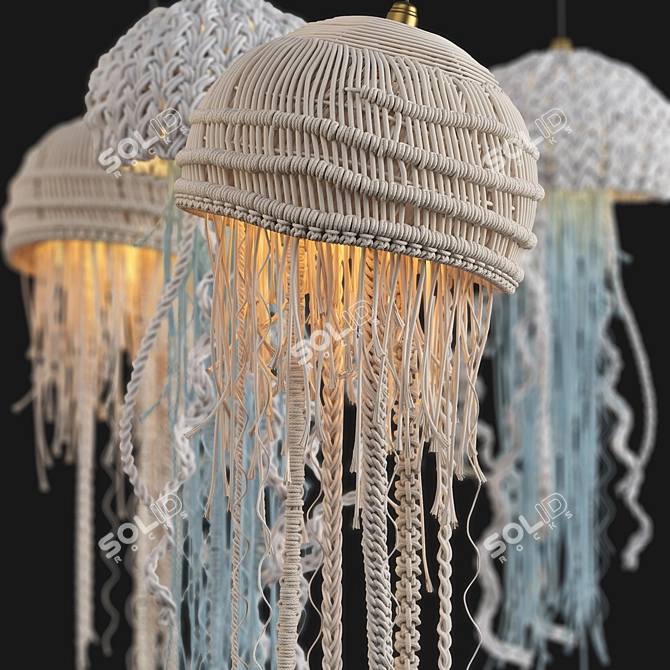 Oceanic Macrame Pendant Light 3D model image 4