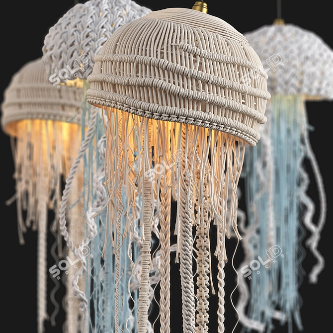 Oceanic Macrame Pendant Light 3D model image 10