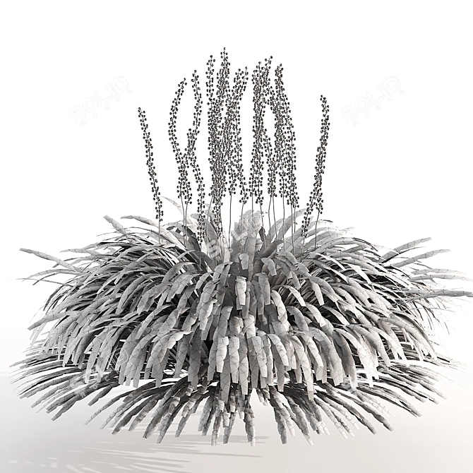 Liriope Muscari 3D Flower Model 3D model image 5