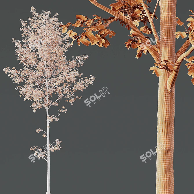 Alnus Glutinosa 3D Model Set 3D model image 5