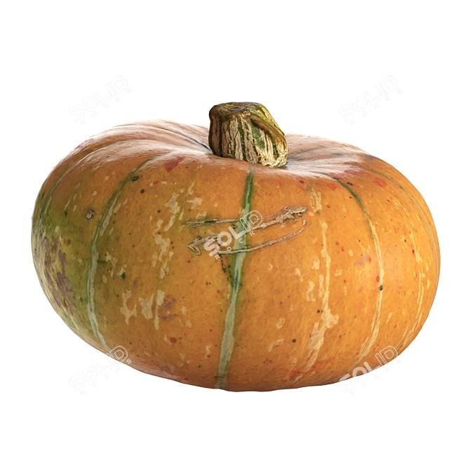 Round Pumpkin Duo 3D Model 3D model image 3