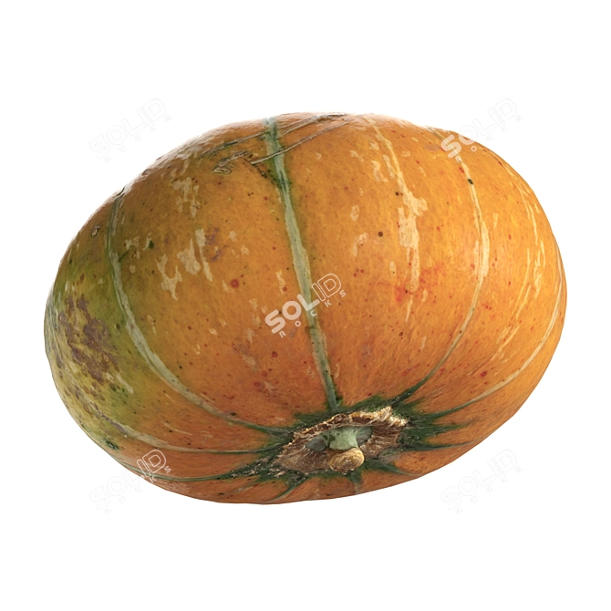 Round Pumpkin Duo 3D Model 3D model image 4