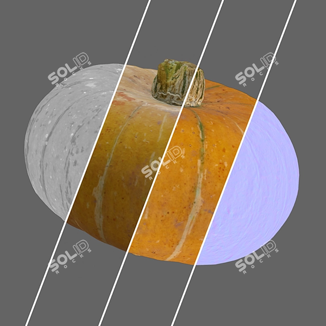 Round Pumpkin Duo 3D Model 3D model image 7