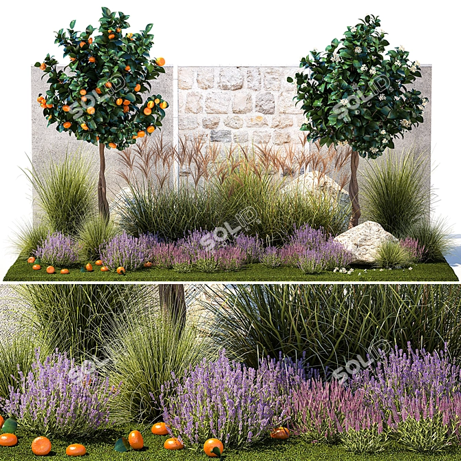 Citrus Garden Collection Set 3D model image 1