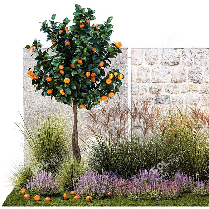 Citrus Garden Collection Set 3D model image 2