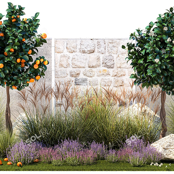 Citrus Garden Collection Set 3D model image 3