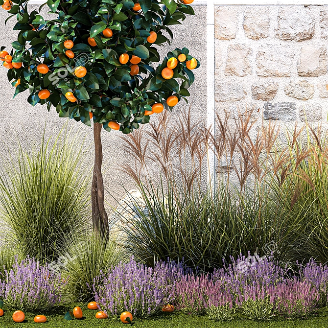 Citrus Garden Collection Set 3D model image 5