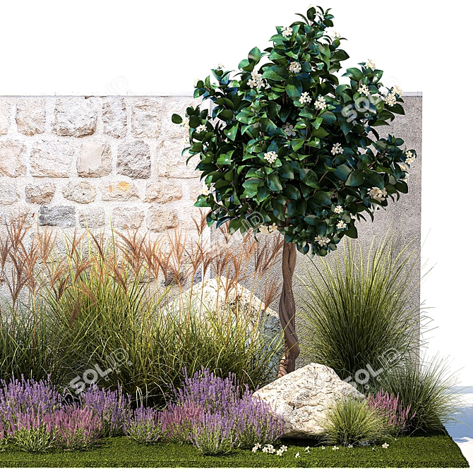 Citrus Garden Collection Set 3D model image 6