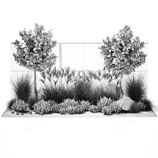 Citrus Garden Collection Set 3D model image 7