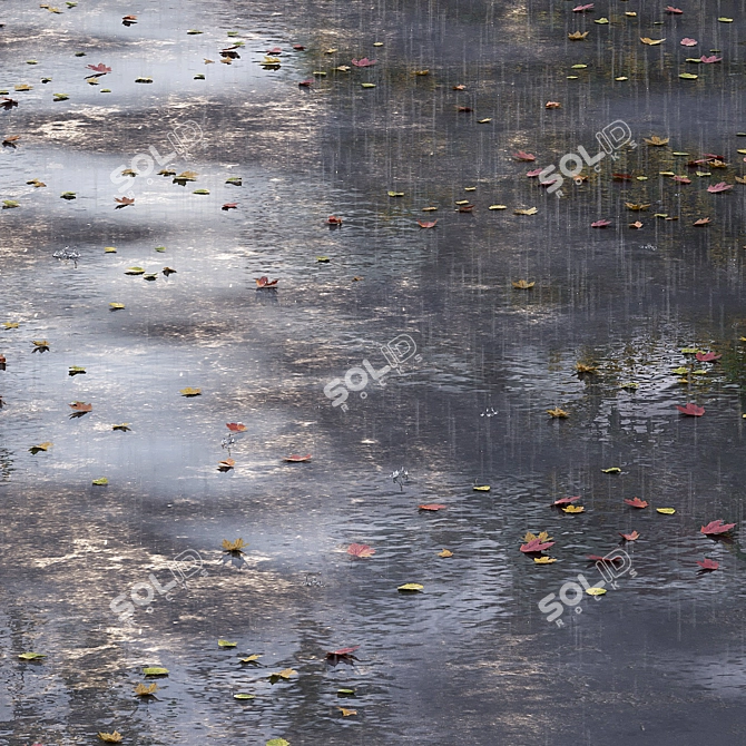 Autumn Road with Leaves & Puddles 3D model image 2