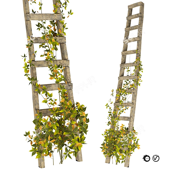 Rustic Ladder with Climbing Vines 3D model image 1