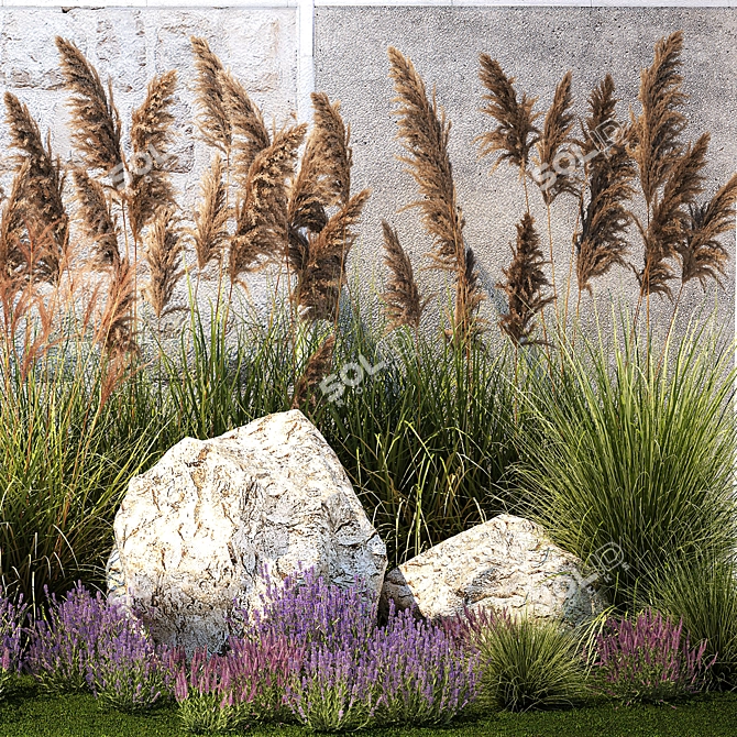 Landscape Plant Collection: Silverberry, Olive, Berberis, Thuja, Hydrangea 3D model image 6