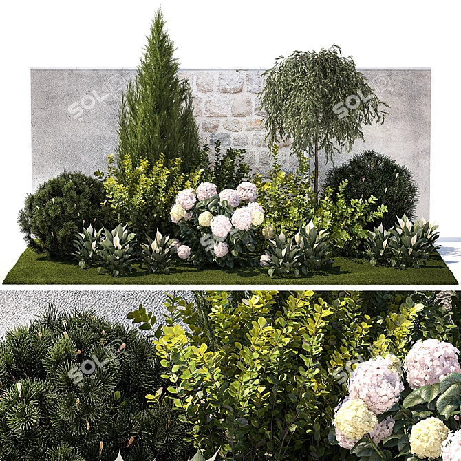 Landscape Plant Collection: Silverberry, Olive, Berberis, Thuja, Hydrangea 3D model image 8